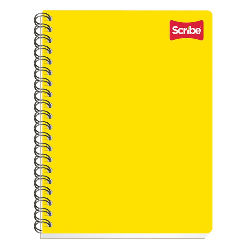 CUADERNO PROFESIONAL 100H RAYAS CLASICO