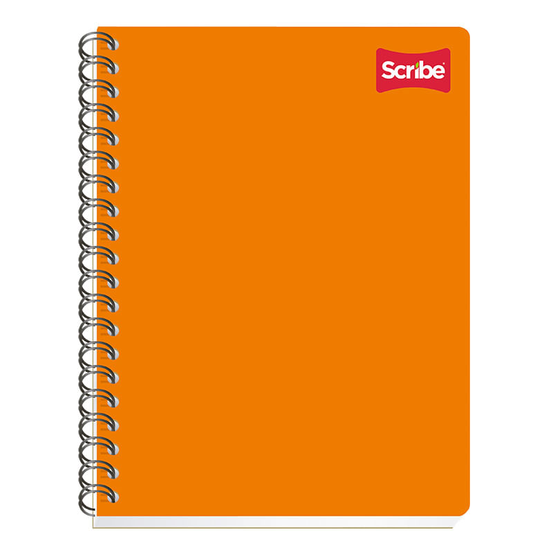 CUADERNO PROFESIONAL 100H RAYAS CLASICO