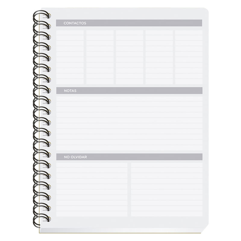 CUADERNO PROFESIONAL 100H C-5 CLASICO
