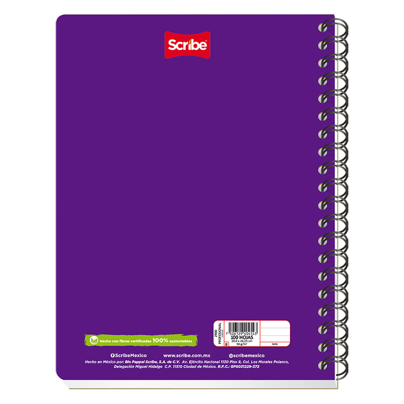 CUADERNO PROFESIONAL 100H C-5 CLASICO