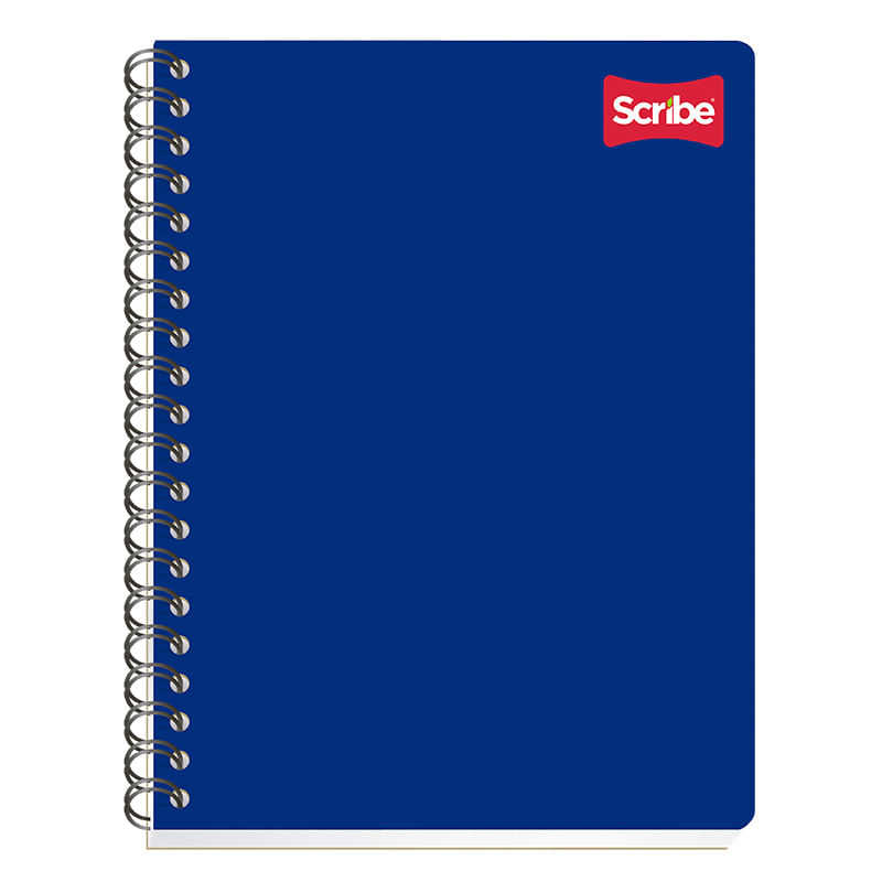 CUADERNO PROFESIONAL 100H C-5 CLASICO
