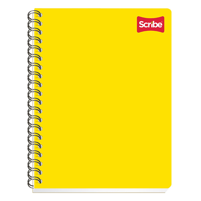 CUADERNO PROFESIONAL 100H C-5 CLASICO