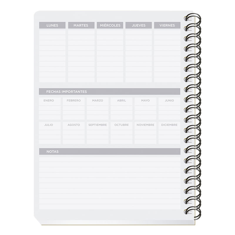 CUADERNO PROFESIONAL 100H PAUTADO CLASICO