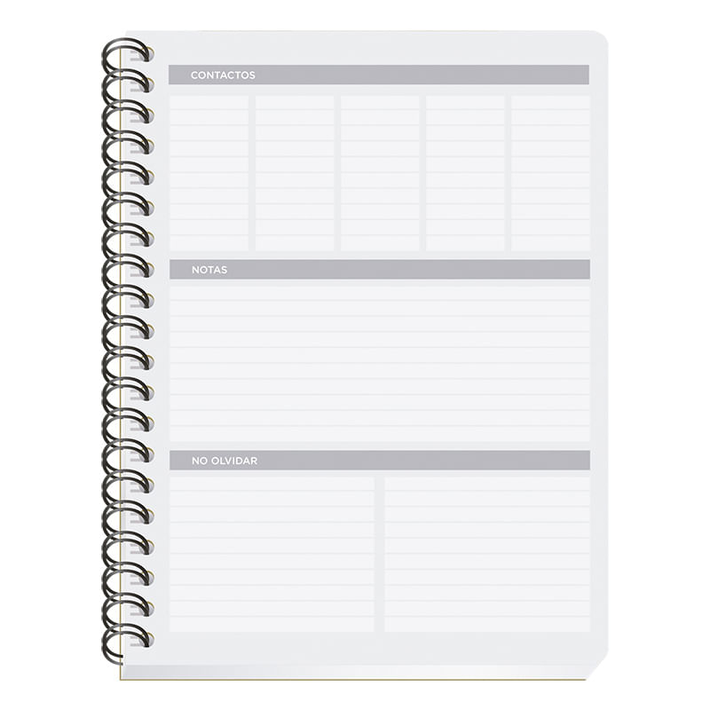 CUADERNO PROFESIONAL 100H PAUTADO CLASICO