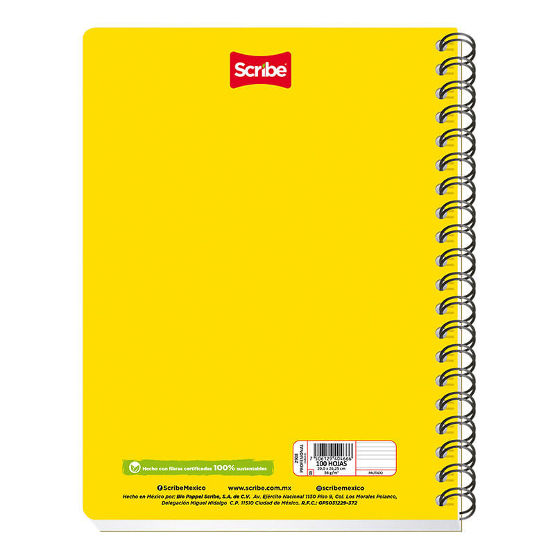 CUADERNO PROFESIONAL 100H PAUTADO CLASICO