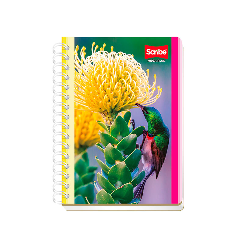 CUADERNO-ESPIRAL-FRANCES-100H-BLANCO-MEGA