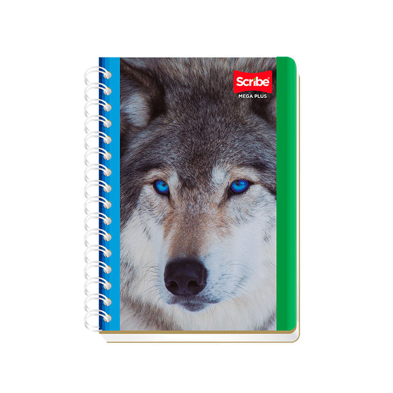 CUADERNO-ESPIRAL-FRANCES-100H-D-R-MEGA