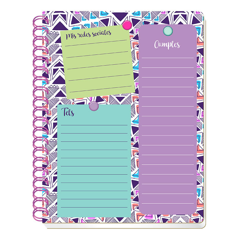 CUADERNO-PROFESIONAL-100H-C-5-INCOLORS
