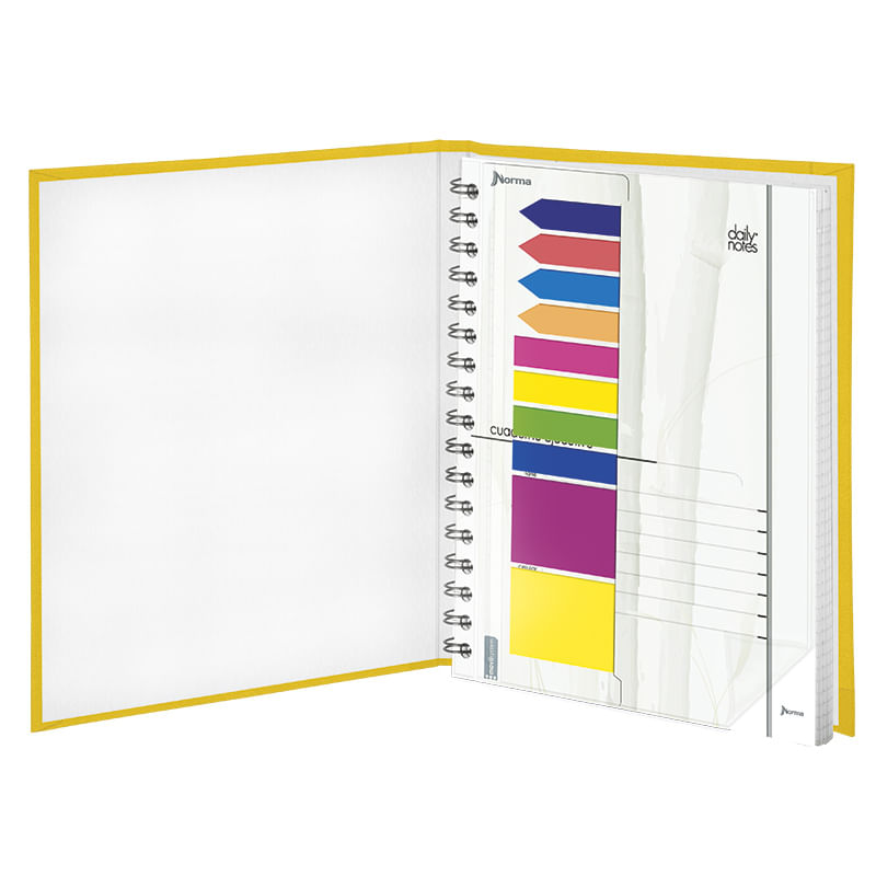 CUADERNO EJECUTIVO PROFESIONAL 100H RAYAS ESPIRAL PD DAILY NOTES