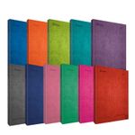 CUADERNO EJECUTIVO PROFESIONAL 100H RAYAS ESPIRAL PD DAILY NOTES