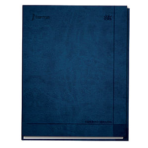 CUADERNO EJECUTIVO PROFESIONAL 100H RAYAS ESPIRAL PD DAILY NOTES