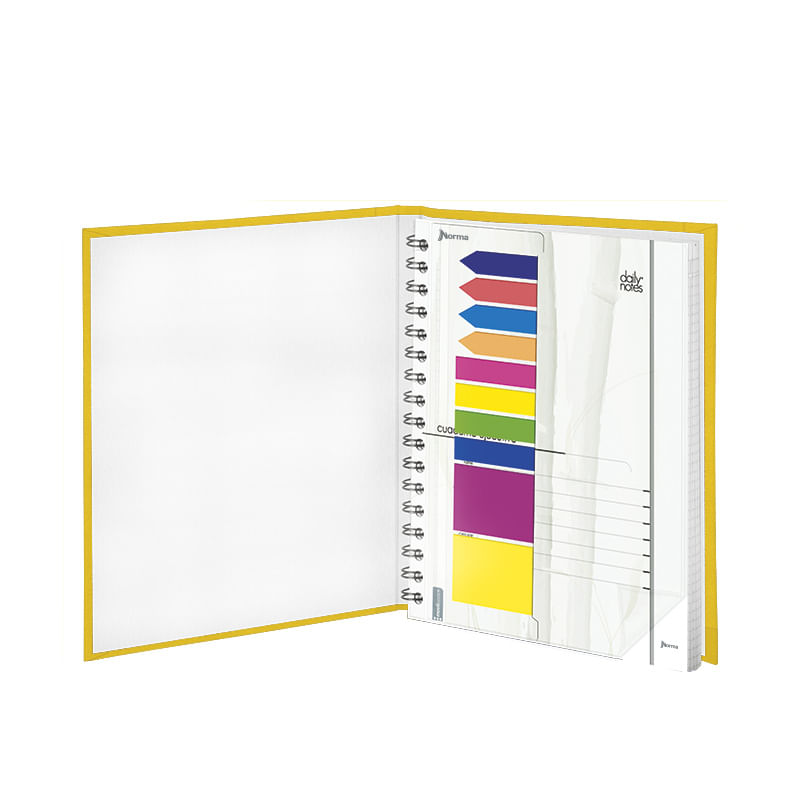 CUADERNO EJECUTIVO FRANCES 100H RAYAS ESPIRAL PD DAILY NOTES