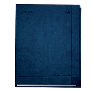 CUADERNO EJECUTIVO FRANCES 100H RAYAS ESPIRAL PD DAILY NOTES