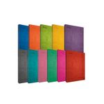 CUADERNO EJECUTIVO POCKET 72H RAYAS ESPIRAL PD DAILY NOTES