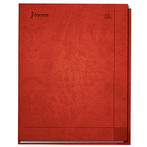 CUADERNO EJECUTIVO POCKET 72H RAYAS ESPIRAL PD DAILY NOTES