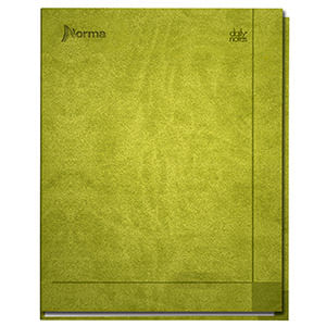 CUADERNO EJECUTIVO POCKET 72H RAYAS ESPIRAL PD DAILY NOTES