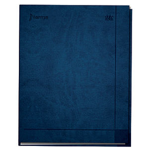CUADERNO EJECUTIVO POCKET 72H RAYAS ESPIRAL PD DAILY NOTES