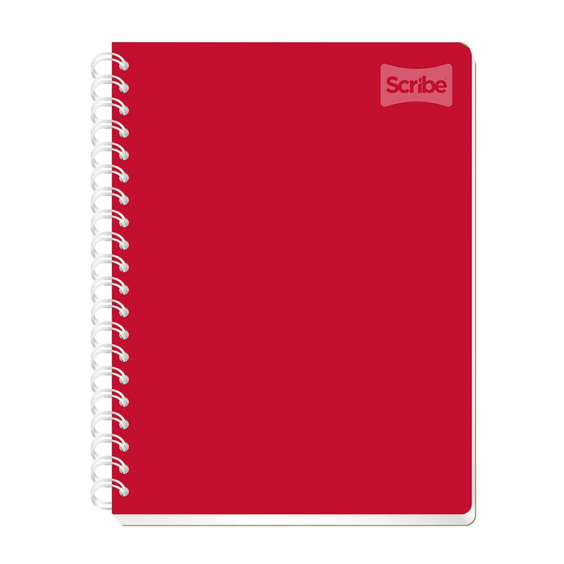 CUADERNO PROFESIONAL 100H RAYAS POLYCOVER