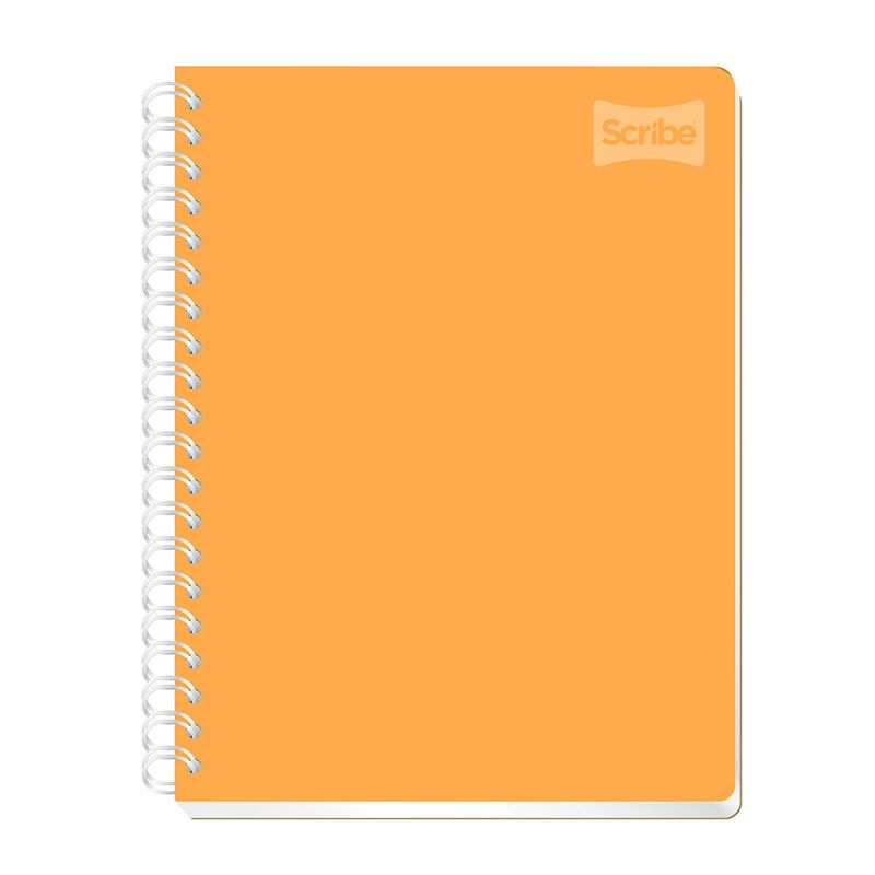 CUADERNO PROFESIONAL 100H C-5 POLYCOVER