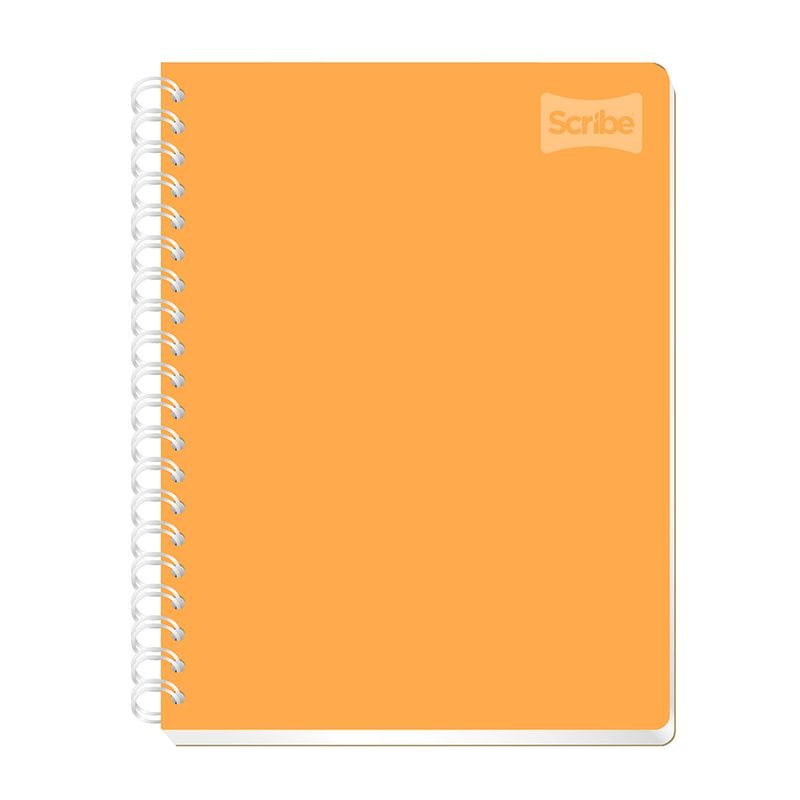 CUADERNO PROFESIONAL 200H RAYAS POLYCOVER