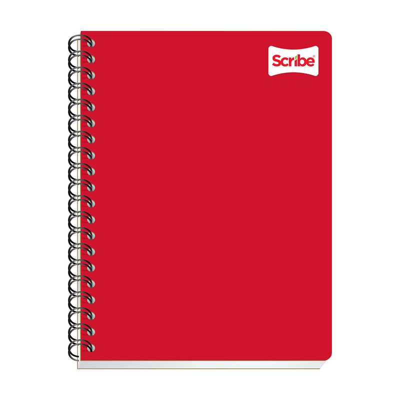 CUADERNO PROFESIONAL 100H BLANCO CLASICO