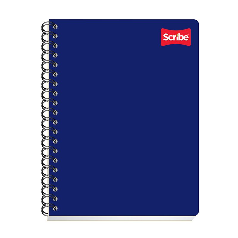 CUADERNO PROFESIONAL 100H BLANCO CLASICO