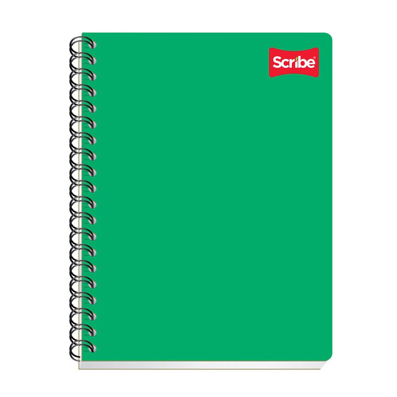CUADERNO PROFESIONAL 100H BLANCO CLASICO