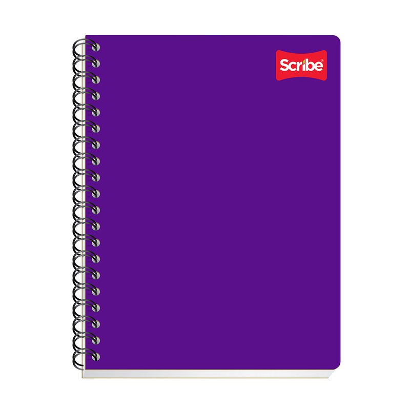CUADERNO PROFESIONAL 100H BLANCO CLASICO