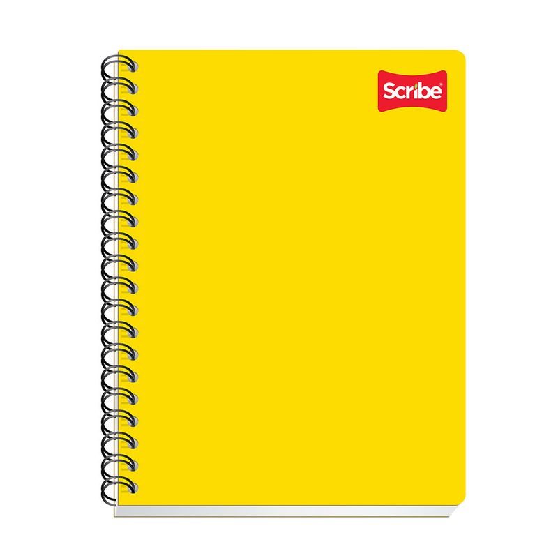 CUADERNO PROFESIONAL 100H BLANCO CLASICO