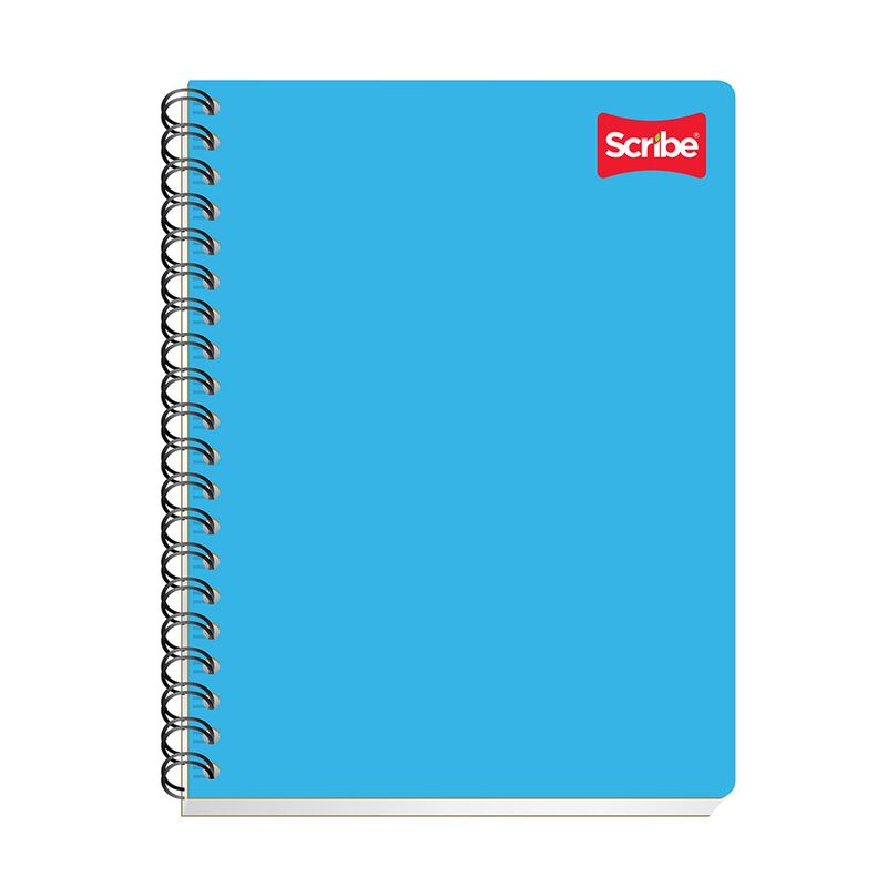 CUADERNO PROFESIONAL 100H BLANCO CLASICO