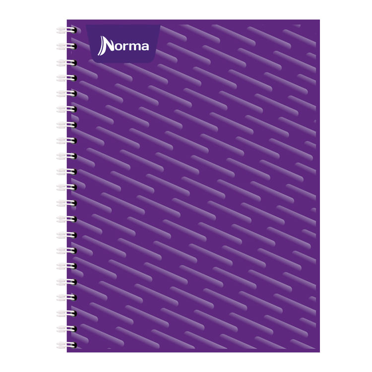 CUADERNO PROFESIONAL 100H RAYAS UNICOLOR
