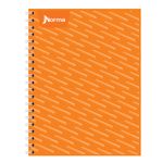 CUADERNO PROFESIONAL 100H RAYAS UNICOLOR