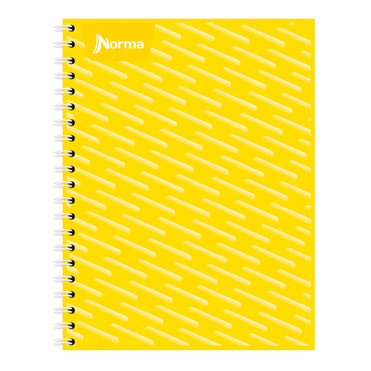 CUADERNO PROFESIONAL 100H RAYAS UNICOLOR