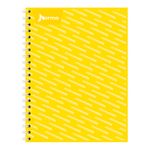 CUADERNO PROFESIONAL 100H C-5 UNICOLOR
