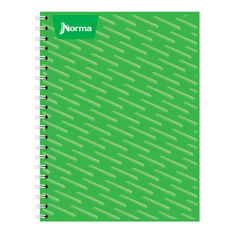 CUADERNO PROFESIONAL 100H C-5 UNICOLOR