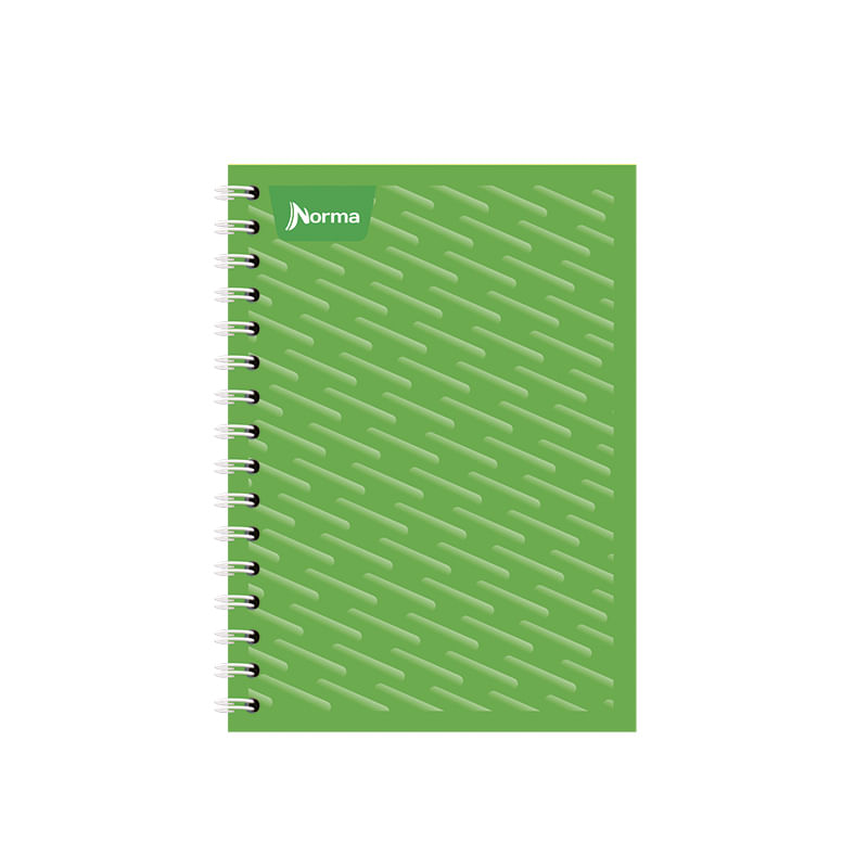 CUADERNO ESPIRAL FRANCES 100H RAYAS UNICOLOR