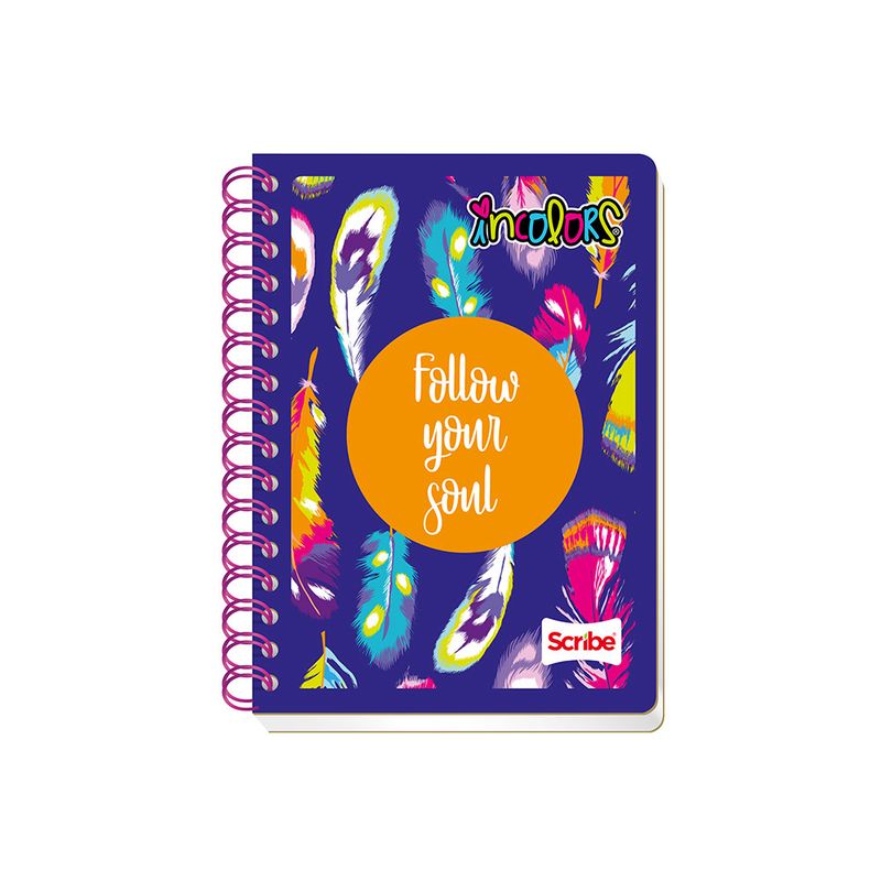 CUADERNO ESPIRAL FRANCES 100H RAYAS INCOLORS