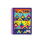 CUADERNO ESPIRAL FRANCES 100H RAYAS INCOLORS