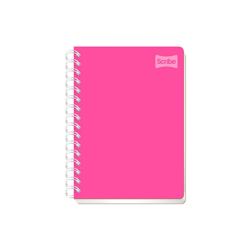 CUADERNO ESPIRAL FRANCES 100H RAYAS POLYCOVER