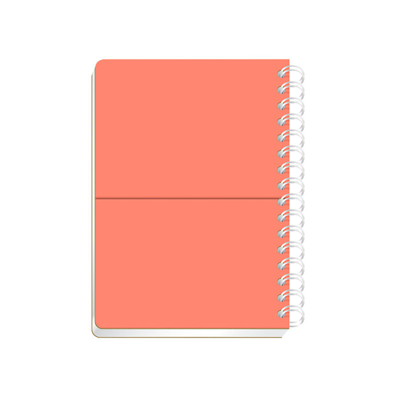 CUADERNO-ESPIRAL-FRANCES-100H-C-5-POLYCOVER