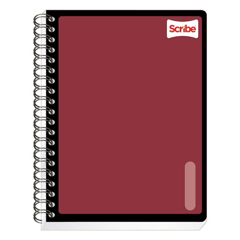 CUADERNO-PROFESIONAL-100H-RAYAS-SERIE-III