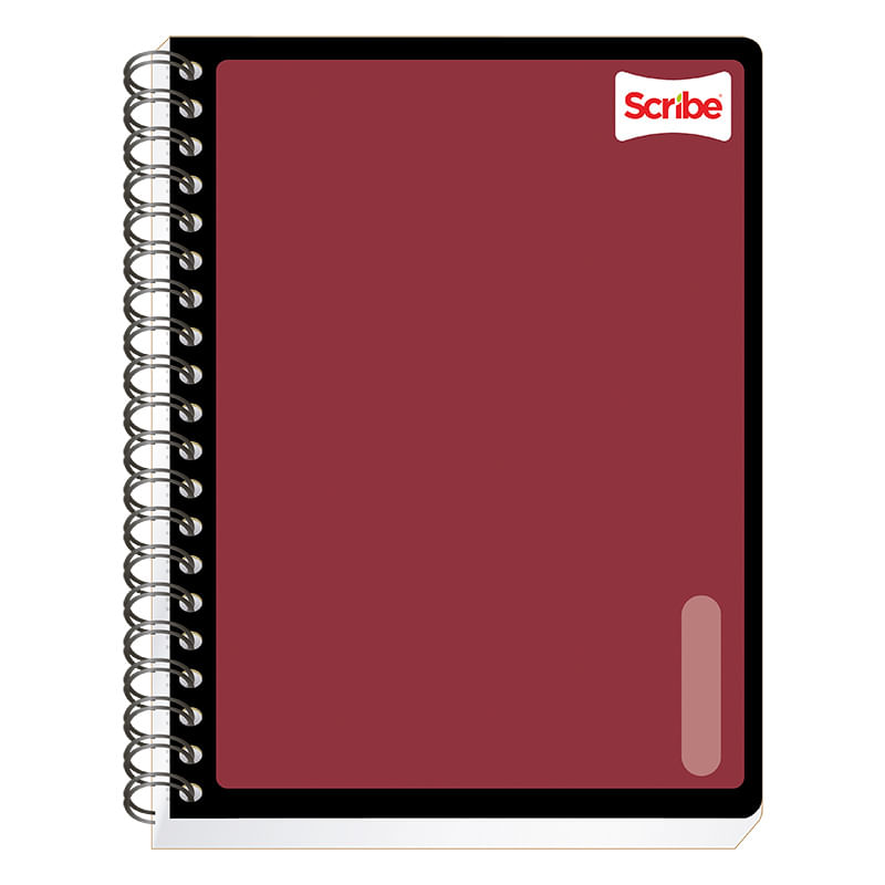CUADERNO-PROFESIONAL-100H-C-5-SERIE-III