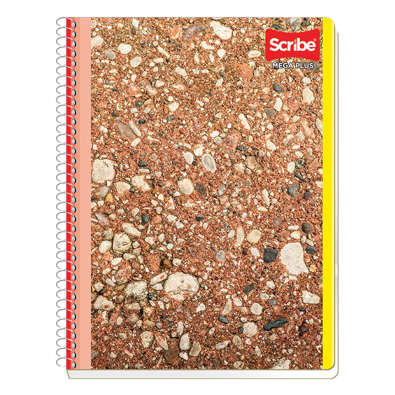 CUADERNO-PROFESIONAL-200H-C-5-MEGA