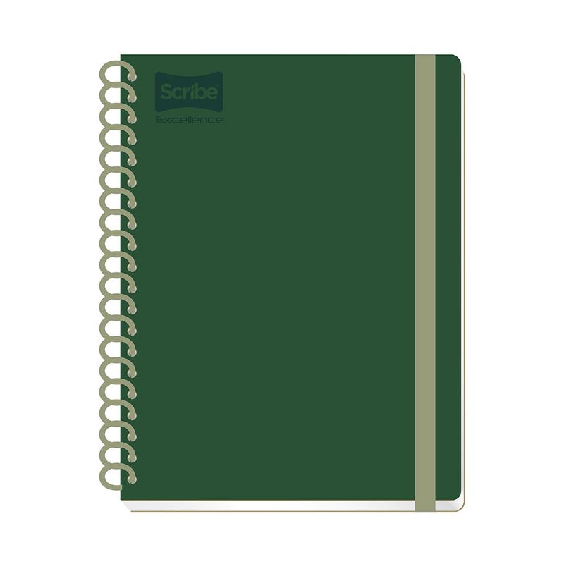 CUADERNO PROFESIONAL 200H RAYAS CON LIGA EXCELLENCE PD