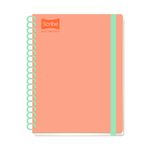 CUADERNO PROFESIONAL 200H RAYAS CON LIGA EXCELLENCE PD