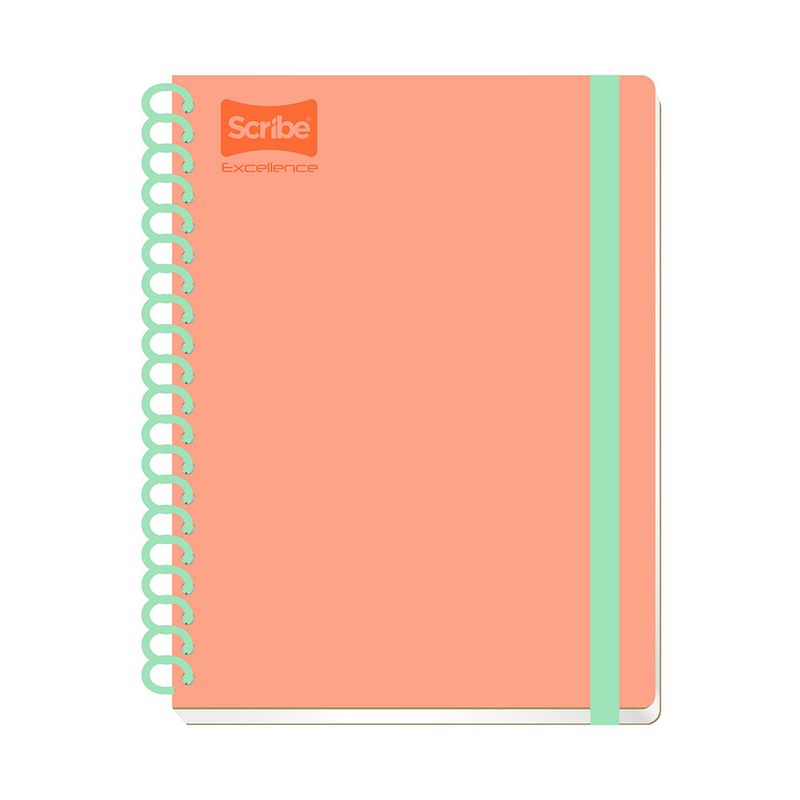 CUADERNO PROFESIONAL 200H RAYAS CON LIGA EXCELLENCE PD