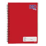 CUADERNO PROFESIONAL 100H RAYA DOO SWING COLS