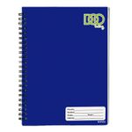 CUADERNO PROFESIONAL 100H RAYA DOO SWING COLS