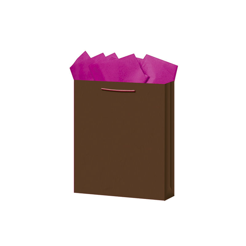 BOLSA REGALO CHICA KRAFT COLORES
