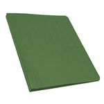 CARPETA ACCOGRIP CARTA CON PALANCA VERDE OSCURO